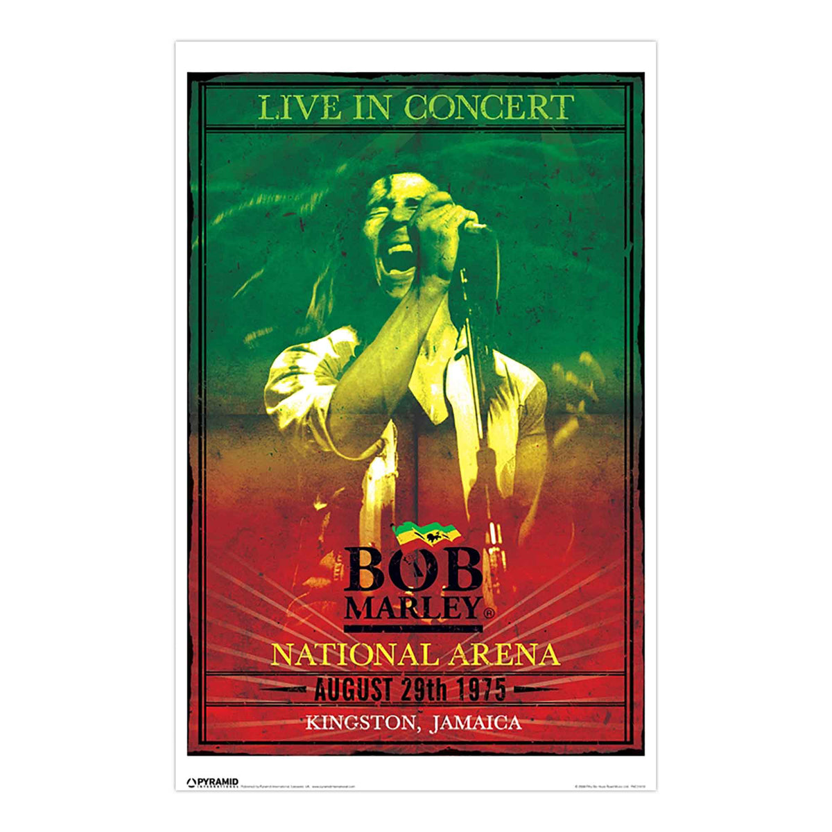 Bob Marley - National Arena Concert 11x17 Poster – Museum Nerd
