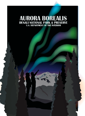 Aurora 2x3 Magnet