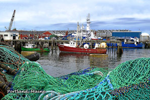 Fishing Nets 2x3 Magnet