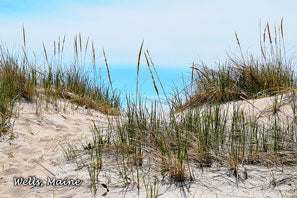 Wells Dunes 2x3 Magnet
