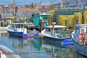 Mia Rosa Portland Maine 2x3 Magnet