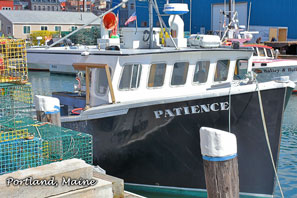 Patience Portland Maine 2x3 Magnet