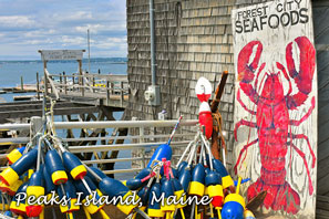 Peaks Island Forest City Seafood 2x3 Magnet