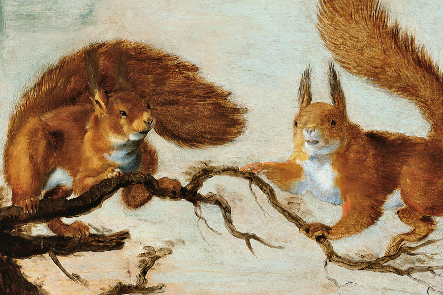 Two Squirrels 2x3 Magnet