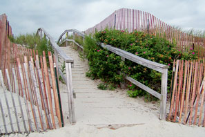 Beach Walkway 2x3 Magnet