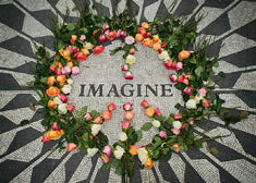 Imagine 2.5x3.5 Magnet