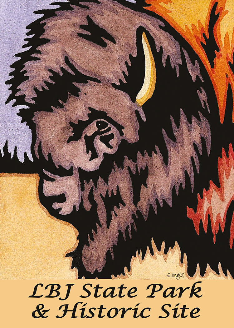 LBJ State Park Buffalo 2.5x3.5 Magnet