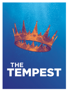 Tempest 2.5 x 3.5 Magnet non hanging bag