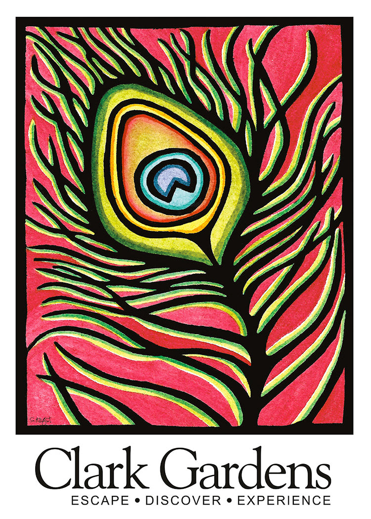 Peacock Plume Clark Gardens 2.5x3.5 Magnet