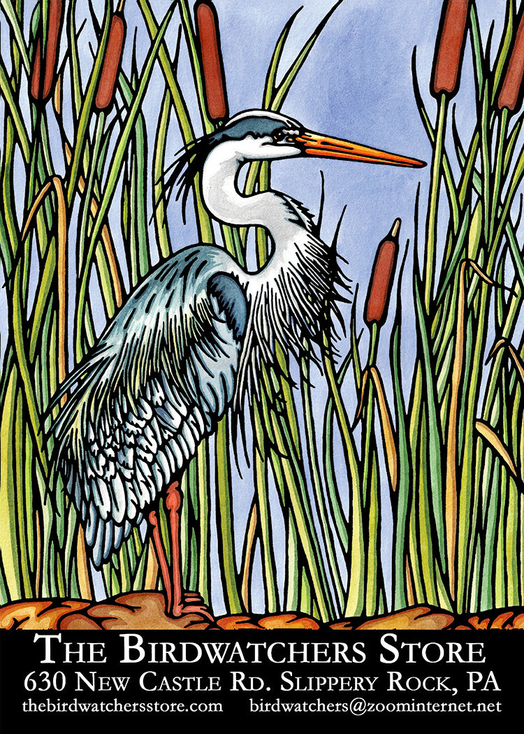 BWS Blue Heron 2.5x3.5 Magnet