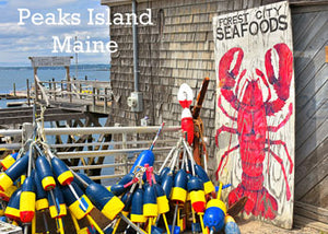 Peaks Peaks Lobster Graphic 2.5 x 3.5 Magnet