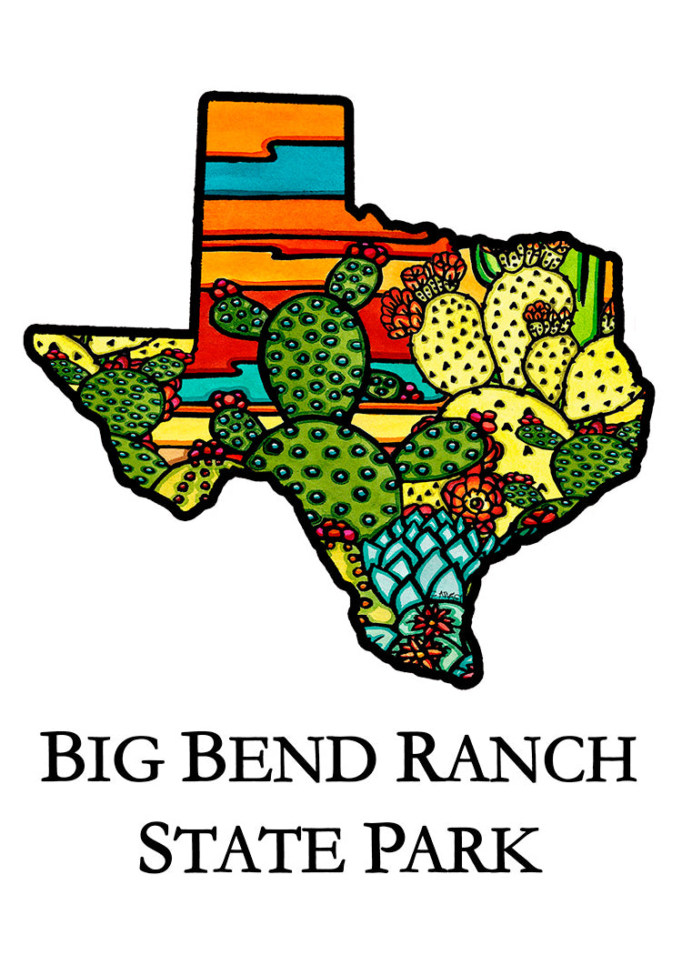 Texas Cactus 2.5x3.5 Magnet