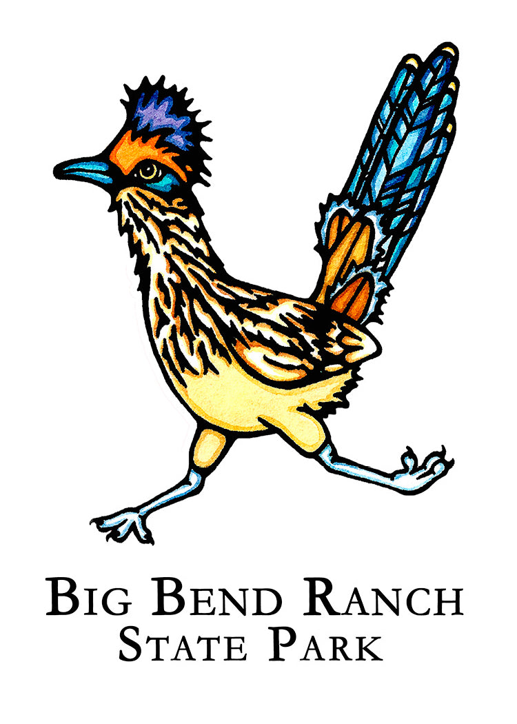 Big Bend Roadrunner 2.5x3.5 Magnet