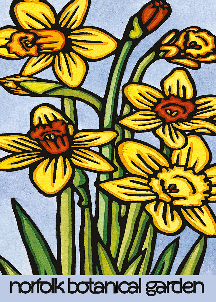 Norfolk Botanical Garden Daffodils 2.5x3.5 Magnet
