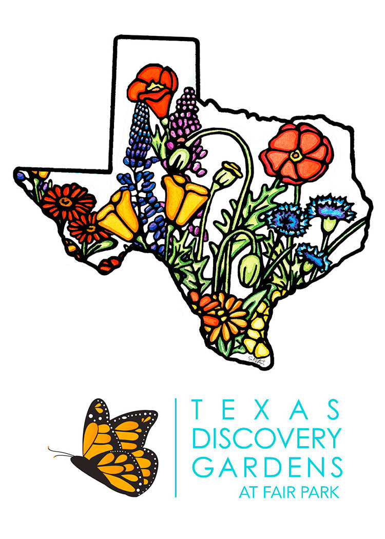 TDG Texas 2.5x3.5 Magnet