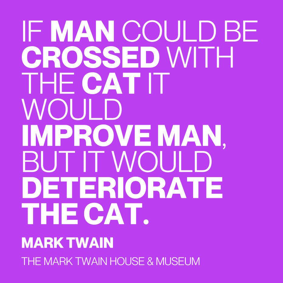 Man Could Be Crossed with A Cat 3x3 Magnet Loose