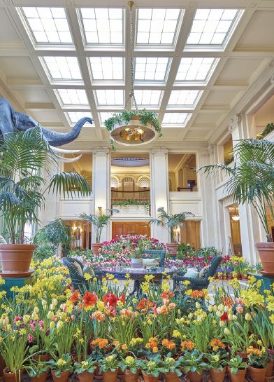 Dutch Connection George Eastmans Conservatory in Winter Bloom Postcard 4x6