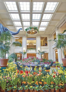Dutch Connection George Eastmans Conservatory in Winter Bloom Postcard 4x6