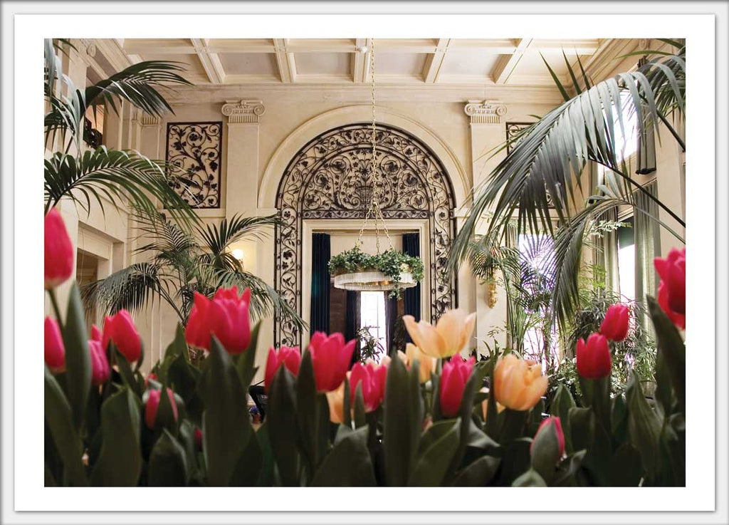 Dutch Connection George Eastmans Conservatory in Winter Close Up Bloom Postcard 4x6