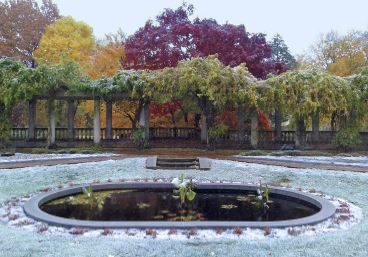 Restored Lilly Pond Postcard 4x6