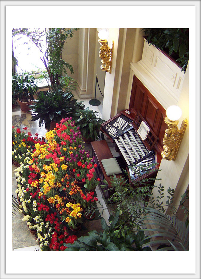 Aeolian Pipe Organ 4x6 postcard