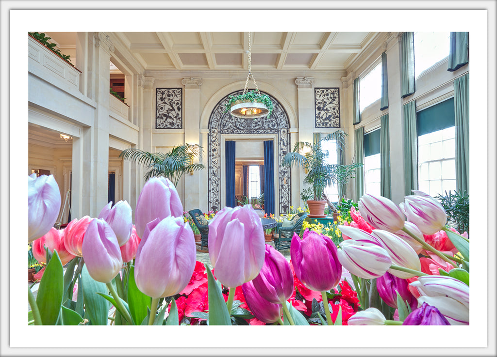 Conservatory in Winter Bloom 4.25x6 Postcard