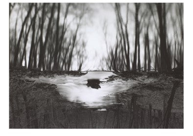Reflecting Stream Redding CT 4x6 postcard