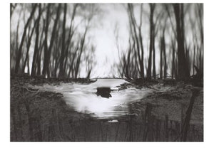Reflecting Stream Redding CT 4x6 postcard