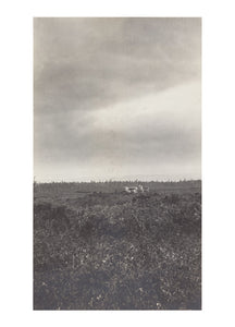 Doe and Stag 4x6 postcard