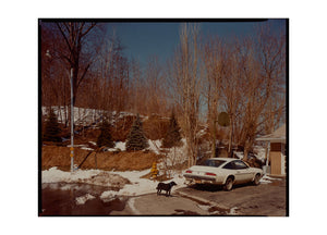 Rochester 4x6 postcard