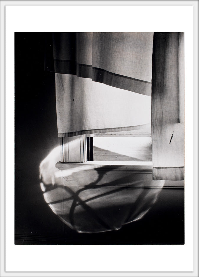 Windowsill Daydreaming 4x6 postcard
