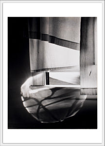 Windowsill Daydreaming 4x6 postcard