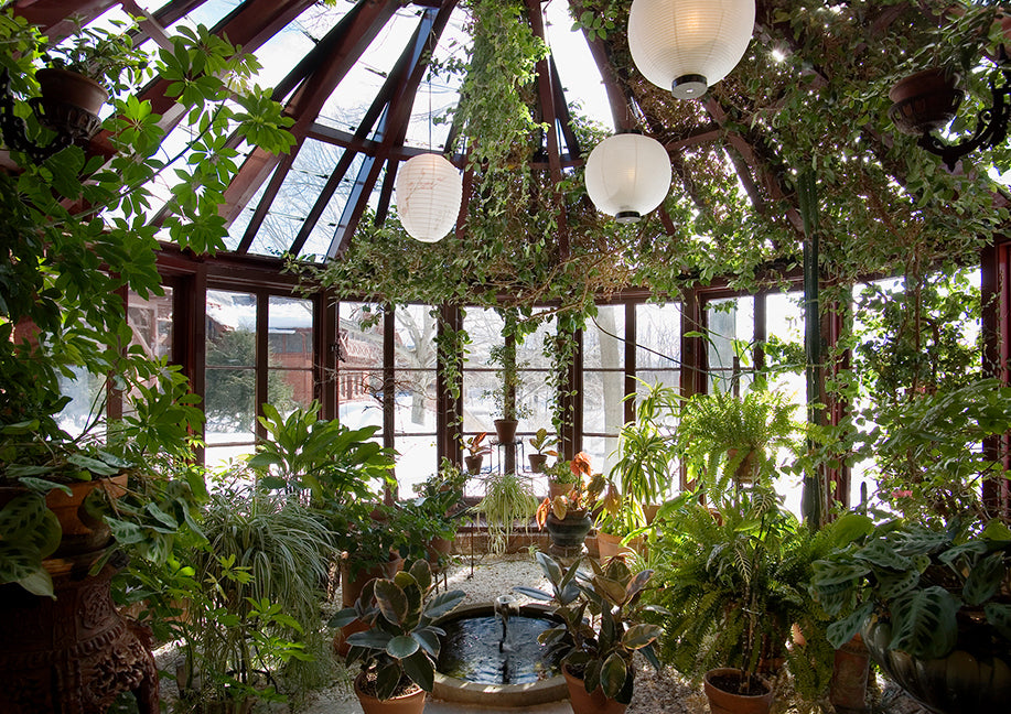 Conservatory 4x6 postcard