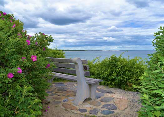 Marginal Way Bench 5x7 Greeting Card