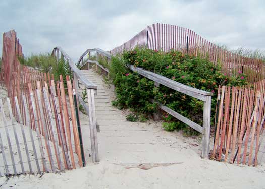 Ogunquit Beach Walkway 5x7 Greeting Card