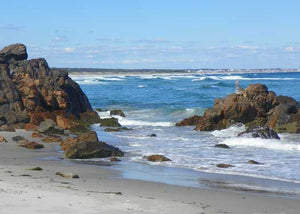 Marginal Way Little Beach 5x7 Greeting Card