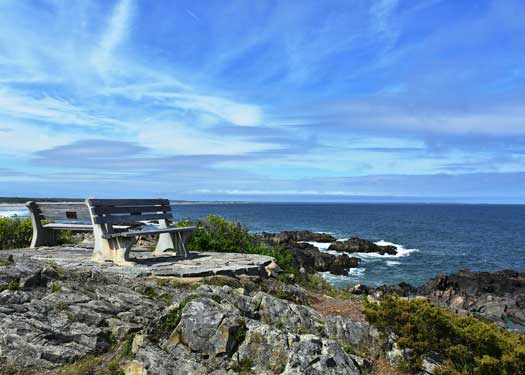 Marginal Way 2 Benches 5x7 Greeting Card