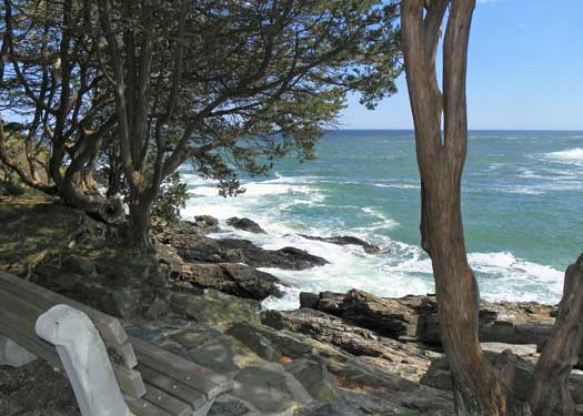Marginal Way Bench 35 5x7 Greeting Card