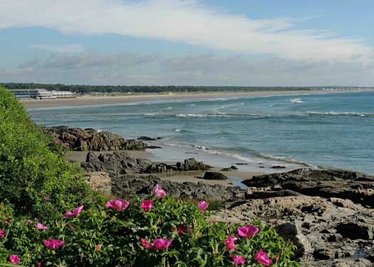 Marginal Way Vintage 5x7 Greeting Card
