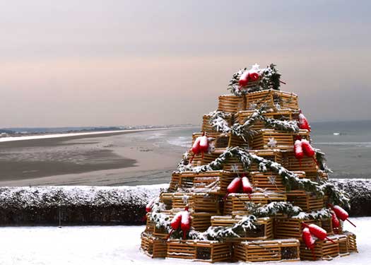 Marginal Way Lobster Trap Tree 5x7 Greeting Card