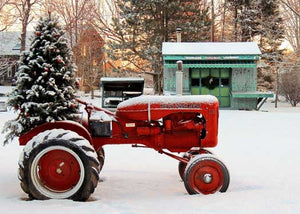 Holiday Tractor 5x7 Greeting Card