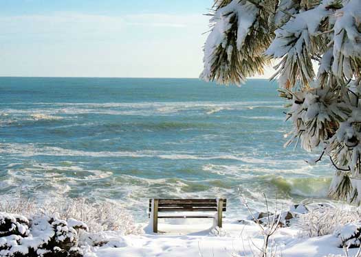 MW Bench Looking Out 5x7 Greeting Card
