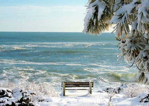 MW Bench Looking Out 5x7 Greeting Card