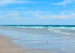 Ogunquit Beach Solitude 5x7 Greeting Card