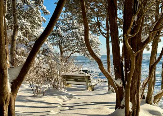 Marginal Way Winter Bench 36 5x7 Greeting Card
