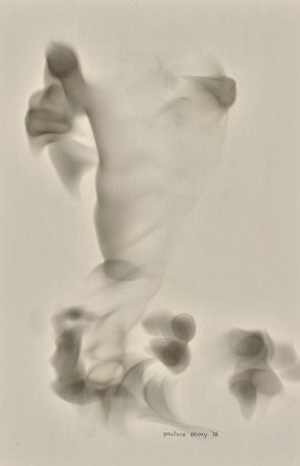 Untitled Smokies Sieries Paulina Peavy 5x7 Greeting Card