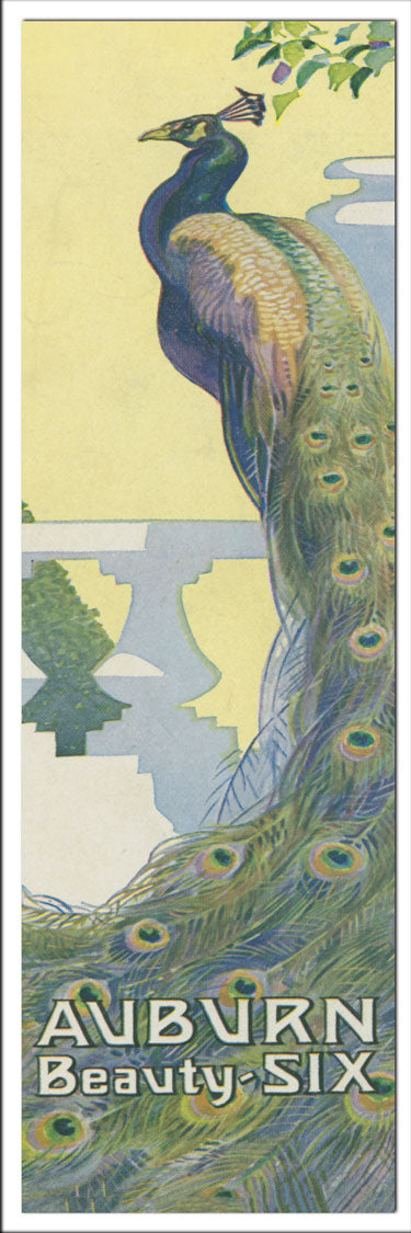 Auburn Beauty-Six Peacock Bookmark laminated