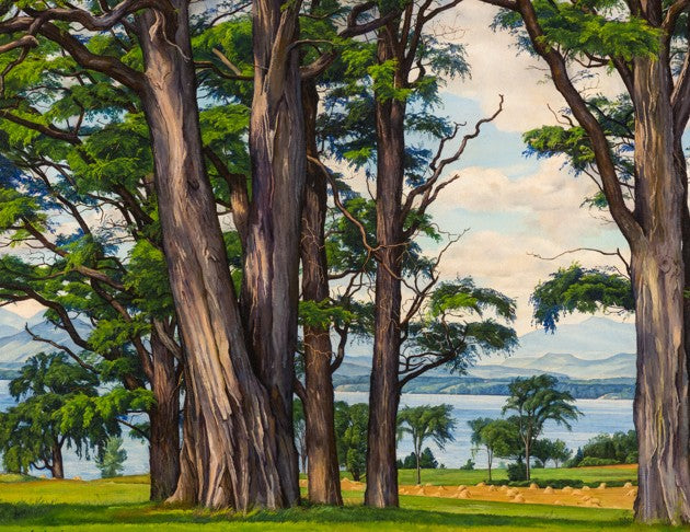 Lake Through the Locusts 11x14 Matted Print