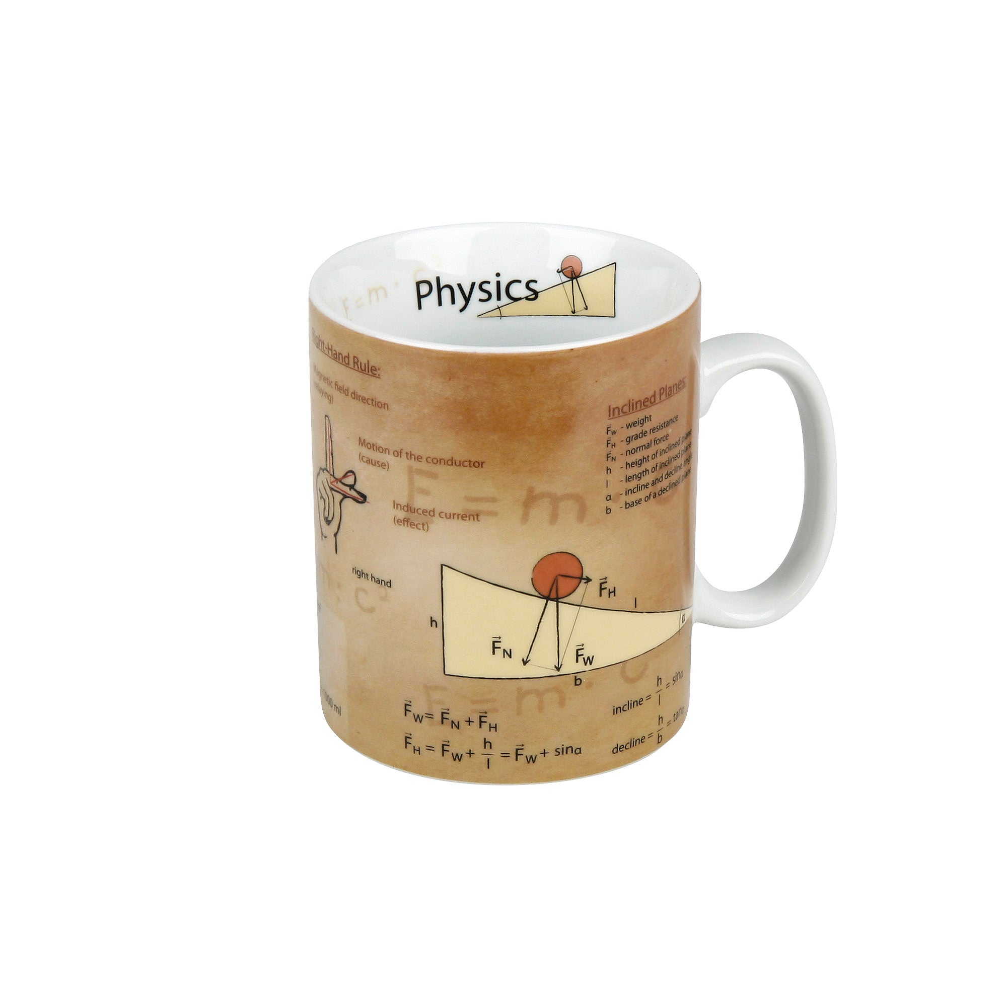 Physics Mug