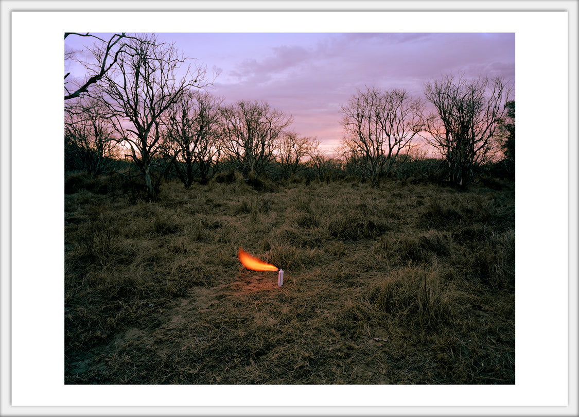 An Aerosol Container in an Abandoned Peach Orchard 4x6 postcard